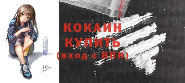 твердый Бронницы