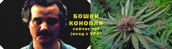 твердый Бронницы