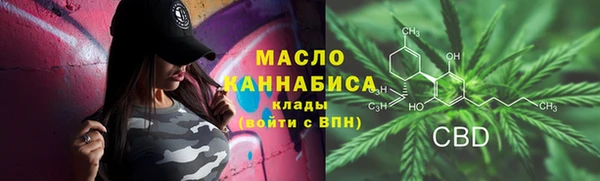 ешки Бородино