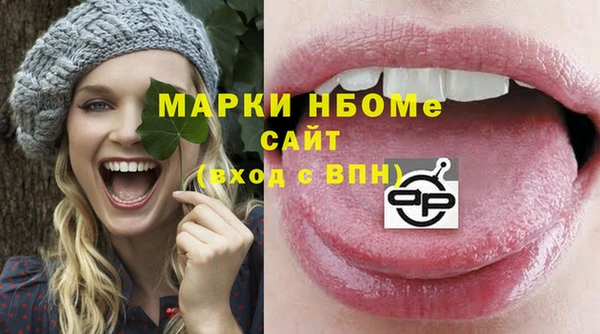 ешки Бородино