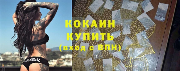 ешки Бородино