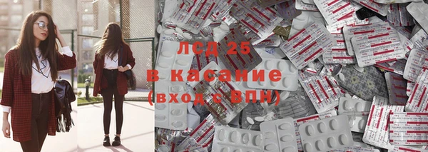 ешки Бородино