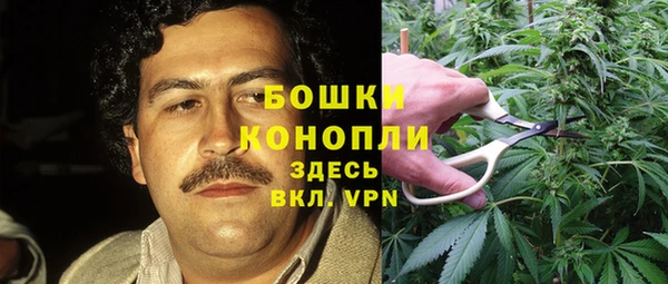 ешки Бородино