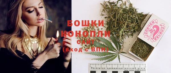твердый Бронницы