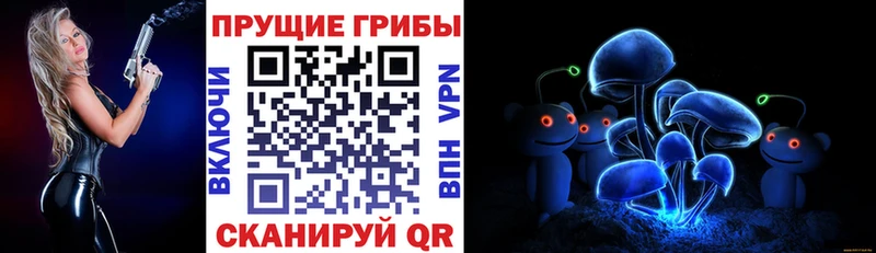 Псилоцибиновые грибы мицелий  Сочи 